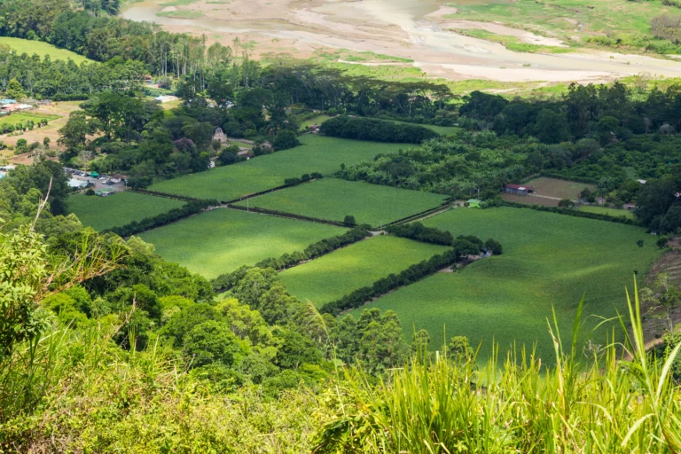 beautiful-green-field-costa-rican-countryside